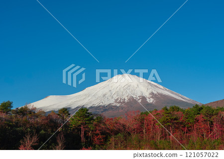 Mt. Fuji in autumn with autumn leaves and snow on the side of the roadside station Subashiri 121057022