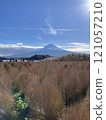 Kochia and Mt. Fuji in autumn 121057210