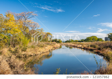 Yodogawa River Wando in early winter, Neyagawa City 121057862