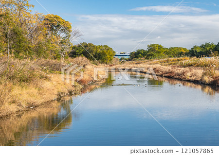 Yodogawa River Wando in early winter, Neyagawa City 121057865