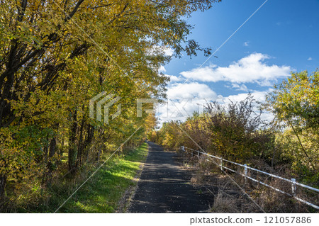 大阪府守口市淀川沿岸散步道 121057886