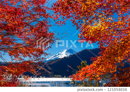 [Yamanashi Prefecture_Mt. Fuji_Lake Kawaguchi] Autumn in Lake Kawaguchi and Mt. Fuji in November 121058038