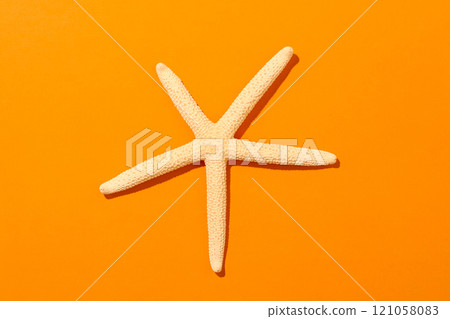 Sea star on a orange background, sea summer concept  121058083