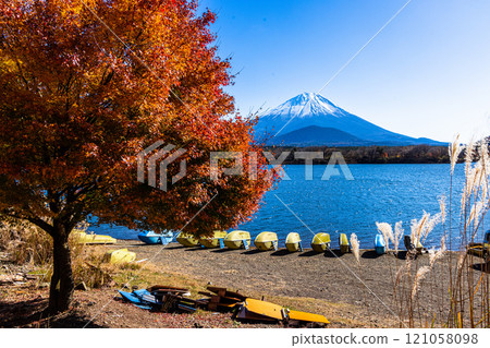 [山梨縣_富士山_精進湖]秋葉和富士山11月 121058098