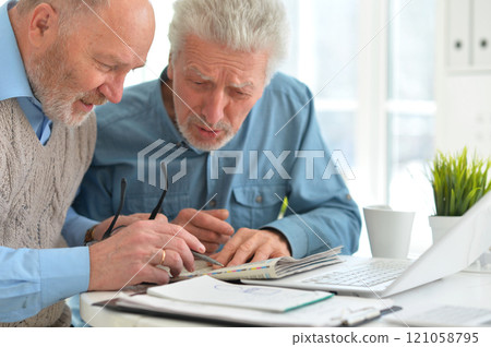 Portrait of two elderly men working on laptop in office Portrait of two elderly men working on laptop in office 121058795
