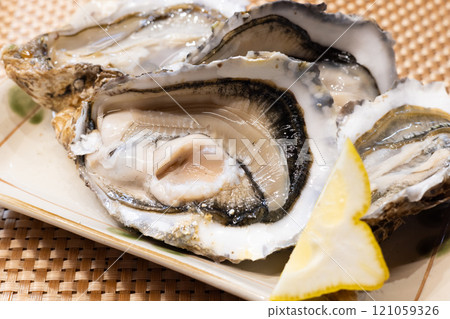 Delicious raw oysters from Akkeshi, Hokkaido 121059326