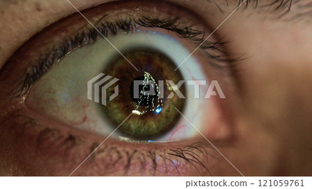Christmas tree reflected into the eyeball  121059761