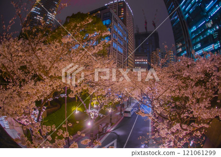 City streets enveloped in cherry blossoms at night City streets enveloped in cherry blossoms at night 121061299