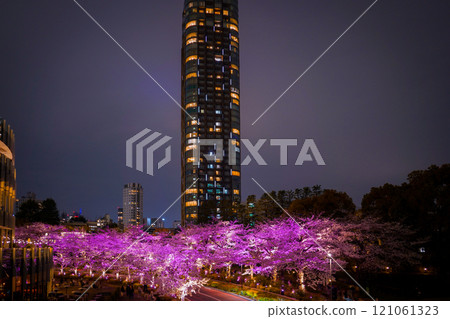 Night view of cherry blossom trees and skyscrapers 121061323