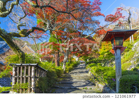 Autumn in Kyoto: Zenbouji Temple - The grounds are covered in autumn leaves Autumn in Kyoto: Zenbouji Temple - The grounds are covered in autumn leaves 121061977