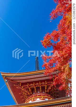 秋天的京都，吉峰寺，秋葉覆蓋的多寶塔 121061979