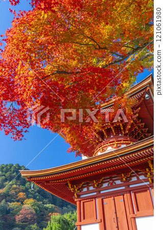 秋天的京都，吉峰寺，秋葉覆蓋的多寶塔 121061980