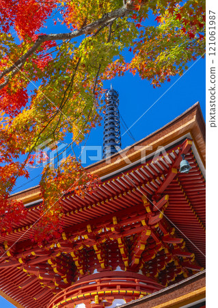 秋天的京都，吉峰寺，秋葉覆蓋的多寶塔 121061987