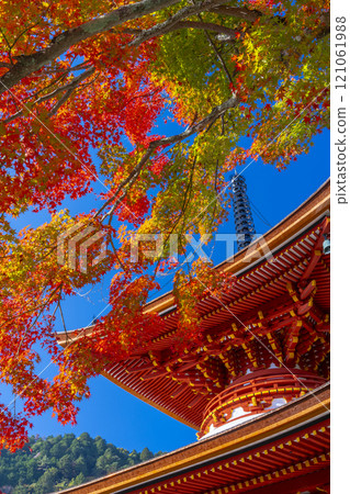 秋天的京都，吉峰寺，秋葉覆蓋的多寶塔 121061988