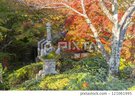 Autumn in Kyoto: Zenbouji Temple - Pagoda surrounded by autumn leaves 121061995