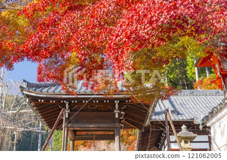 京都的秋天，吉峰寺、釋迦堂、長津屋被秋葉覆蓋 121062005