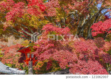 秋天的京都吉峰寺，院內被秋葉覆蓋 121062007