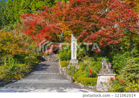 Autumn in Kyoto: Zenbouji Temple, Inari Shrine surrounded by autumn leaves 121062014
