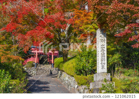 Autumn in Kyoto: Zenbouji Temple, Inari Shrine surrounded by autumn leaves Autumn in Kyoto: Zenbouji Temple, Inari Shrine surrounded by autumn leaves 121062015