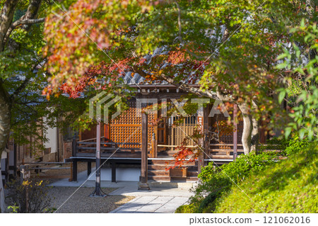 Autumn in Kyoto: Zenbouji Temple, Amida Hall surrounded by autumn leaves 121062016