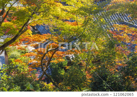 Autumn in Kyoto: Zenbouji Temple, a temple surrounded by autumn leaves Autumn in Kyoto: Zenbouji Temple, a temple surrounded by autumn leaves 121062065