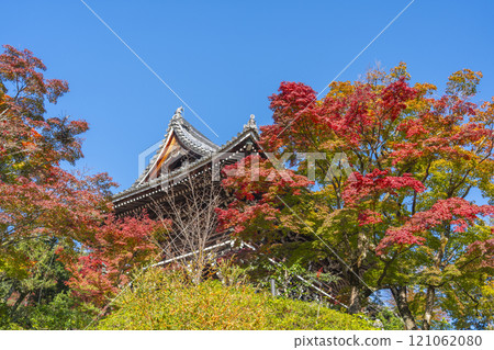 秋天的京都，吉峰寺，秋葉覆蓋的仁王門 121062080