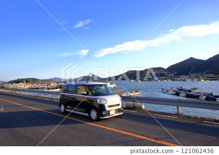 沿著海岸奔跑的波紋凱多 121062436