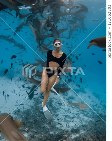 Woman free diver in a tropical water diving with nurse sharks Woman free diver in a tropical water diving with nurse sharks 121062803