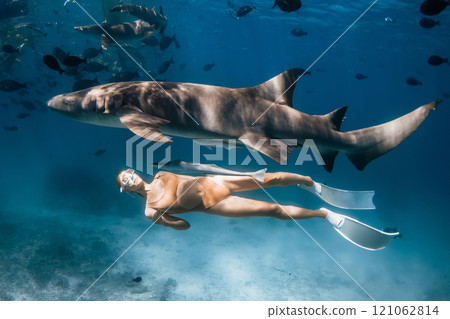 Underwater view with a freediver woman swimming alongside a large nurse shark, surrounded by tropical fish in crystal turquoise waters Underwater view with a freediver woman swimming alongside a large nurse shark, surrounded by tropical fish in crystal turquoise waters 121062814