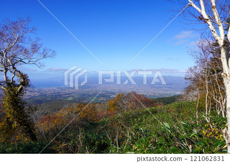 View from the Shinsen-numa Natural Recreation Forest Observatory 121062831