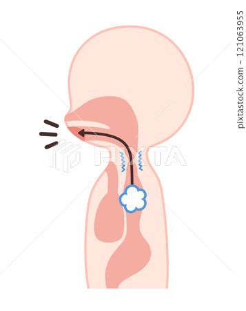 食道言語機制圖解 121063955
