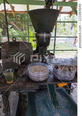 Mechanized device for production cold pressed coconut oil 121064646