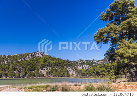 Landscape with a pine tree and mountains on the background. Turkey Landscape with a pine tree and mountains on the background. Turkey 121064716