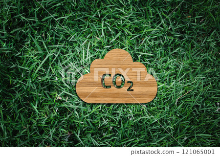 Carbon Footprint Awareness: Wooden CO2 Cloud Icon on Grass Background Representing Environmental Impact 121065001