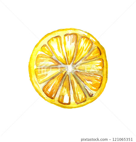 Slice of Lemon fruits. Isolated hand drawn watercolor illustration. 121065351