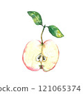 Half of red apple isolated on a white background. watercolor illustration 121065374