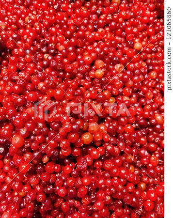 Table top view bunch of red currant in basket, Red currant berries with leaf on wooden table. 121065860