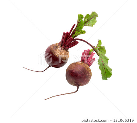 Beetroot with leaves isolated on white Beetroot with leaves isolated on white 121066319
