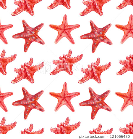 Pattern of starfish from the series sea creatures underwater world in watercolor. Asterias Rubens in reddish with a central disk and five arms. The common Starfish, common Sea Star or Sugar Starfish Pattern of starfish from the series sea creatures underwater world in watercolor. Asterias Rubens in reddish with a central disk and five arms. The common Starfish, common Sea Star or Sugar Starfish 121066480