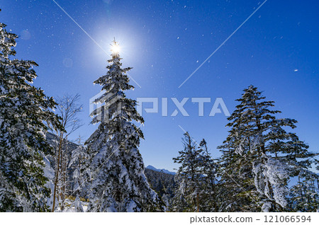 八岳連峰北小岳的冬季風景(樹木與陽光) 八岳連峰北小岳的冬季風景(樹木與陽光) 121066594