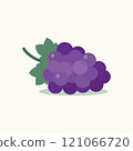 Bunch of purple grapes. 121066720