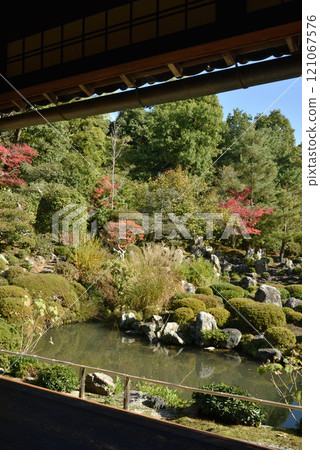 從書院眺望秋天的東寺院“芙蓉池” 121067576