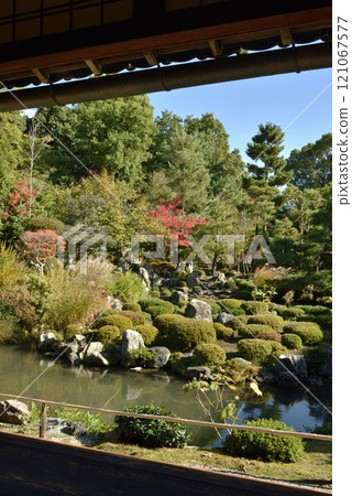 Toji-in Temple in autumn: The garden "Hibiscus Pond" seen from the Shoin Toji-in Temple in autumn: The garden "Hibiscus Pond" seen from the Shoin 121067577