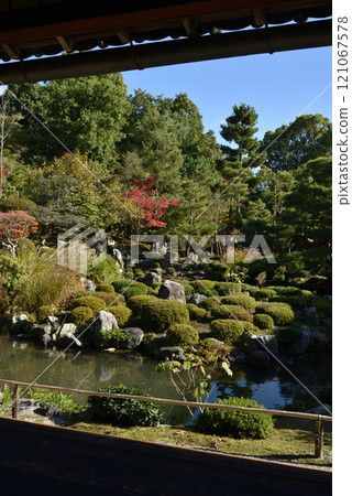 Toji-in Temple in autumn: The garden "Hibiscus Pond" seen from the Shoin Toji-in Temple in autumn: The garden "Hibiscus Pond" seen from the Shoin 121067578