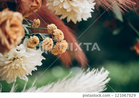Closeup of colorful flowers in a beautiful garden setting 121067829