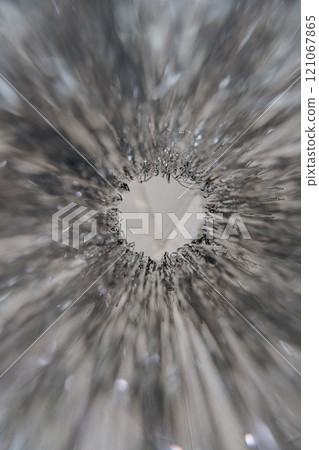 This is a close up image of a flower that features a hole in the middle 121067865