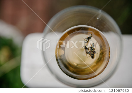 A small bee is perched delicately on the rim of a glass filled with honey 121067980