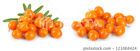 Sea buckthorn. Fresh ripe berry isolated on white background macro Sea buckthorn. Fresh ripe berry isolated on white background macro 121068424