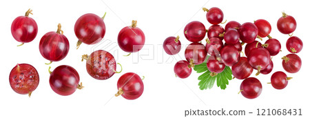 Red gooseberry isolated on white background. Top view. Flat lay. 121068431