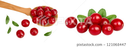 Cranberry in wooden spoon isolated on white background with  full depth of field, Top view. Flat lay 121068447